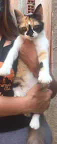 Lili