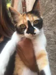 Lili