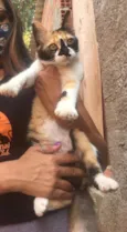 Lili