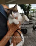 Irmão