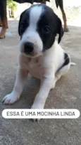 Sem nomes