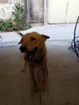 Lala