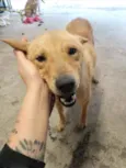 Lala