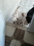 Dora e Titus