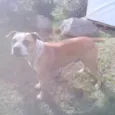 Não sei