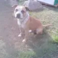 Não sei