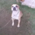 Não sei