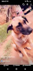 Rana