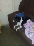 ??