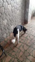 ??