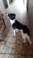 ??