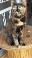Samira