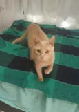 Penelope