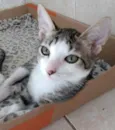 Tutti bb lindíssimo