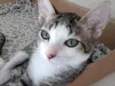 Tutti bb lindíssimo