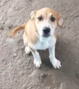 Bartô
