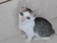 Akemi bebê linda