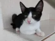 GIGI Linda Bebe