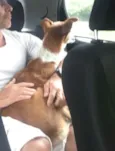 Miga