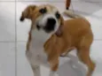 Bartô