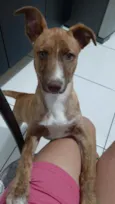 Romeu