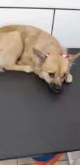 Mel