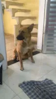 Penélope