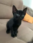 Pretinho lindo????