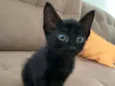 Pretinho lindo????