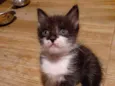 Bentinho