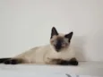 Théo