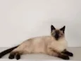 Théo