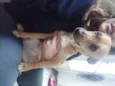 Athena