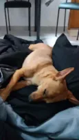 Athena