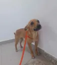 Athena