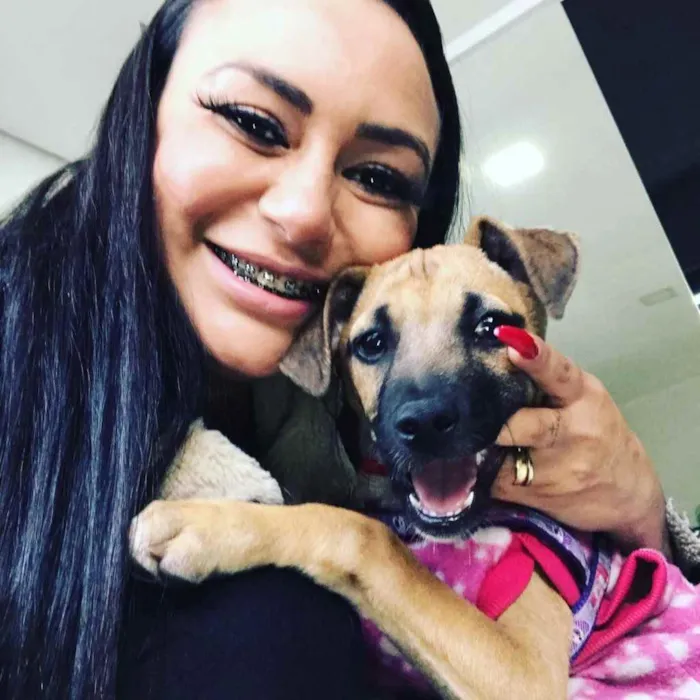 Cachorro ra a SRD idade 2 a 6 meses nome Havanna