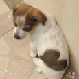 Coração