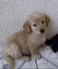 Marley 