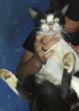 Anita 