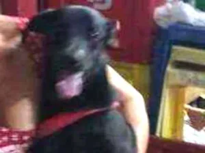 Cachorro raça Não sei idade 1 ano nome VALENTE 