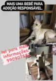 Sem nome