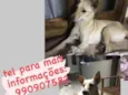 Sem nome