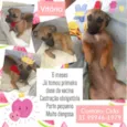 Vitória