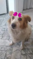 Duda
