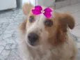 Duda