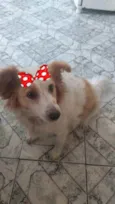 Duda