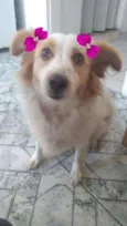 Duda