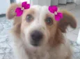 Duda