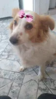 Duda