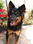 Malú